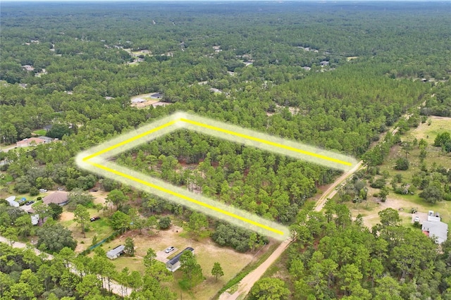 9423 N Tami Path, Dunnellon, FL 34433