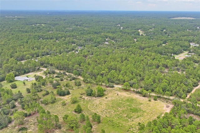 9423 N Tami Path, Dunnellon, FL 34433