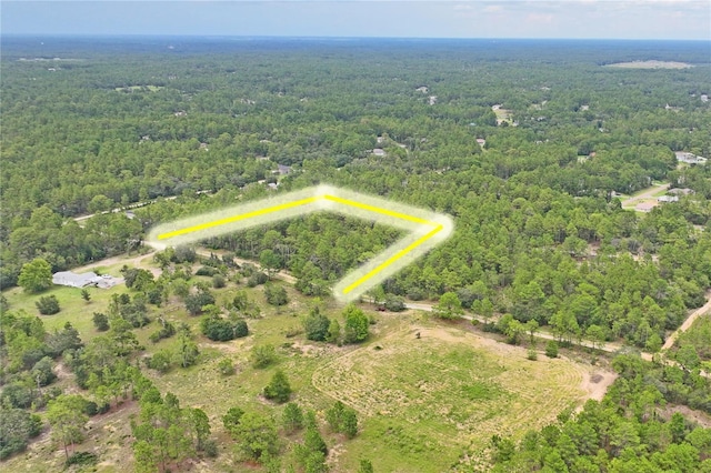 9423 N Tami Path, Dunnellon, FL 34433