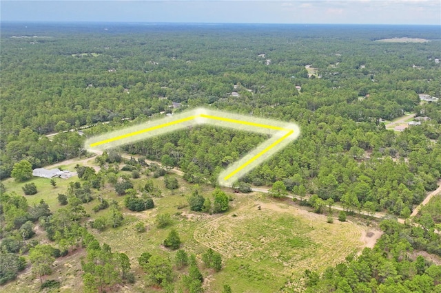 9423 N Tami Path, Dunnellon, FL 34433