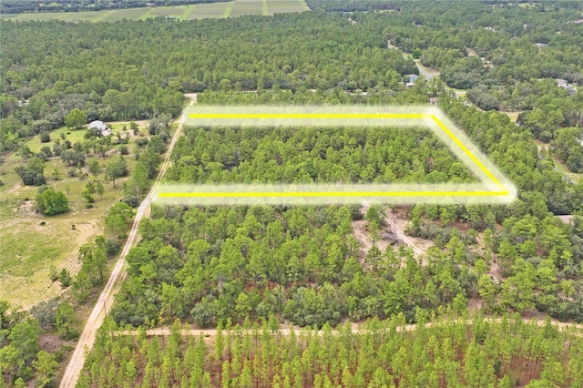 9423 N Tami Path, Dunnellon, FL 34433