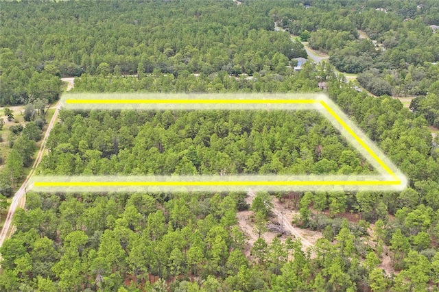 9423 N Tami Path, Dunnellon, FL 34433