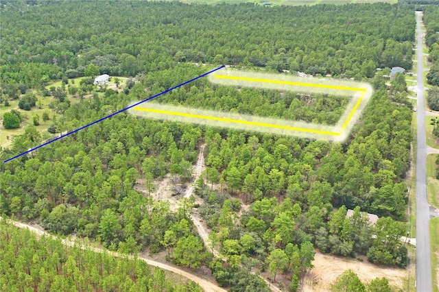 9423 N Tami Path, Dunnellon, FL 34433