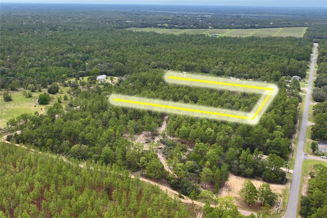 9423 N Tami Path, Dunnellon, FL 34433