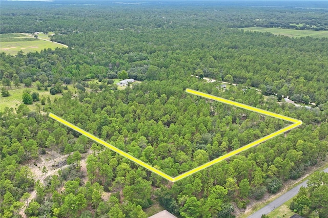 9423 N Tami Path, Dunnellon, FL 34433