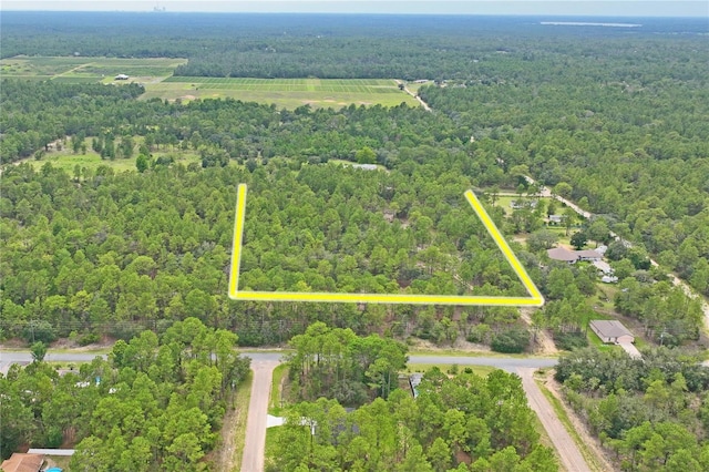 9423 N Tami Path, Dunnellon, FL 34433