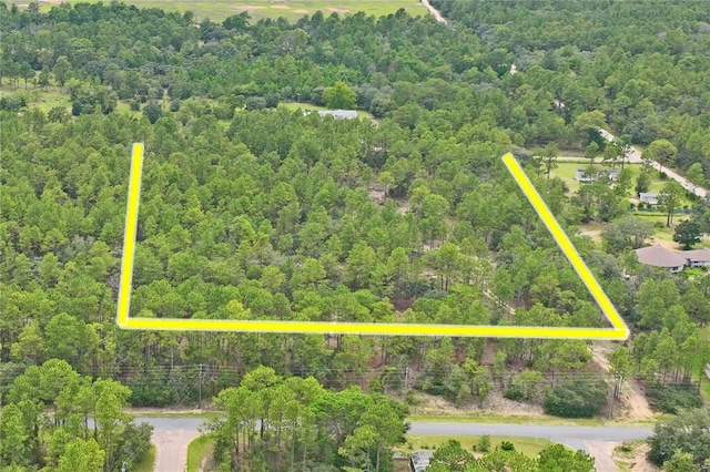 9423 N Tami Path, Dunnellon, FL 34433