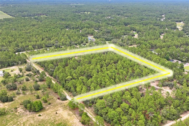 9423 N Tami Path, Dunnellon, FL 34433