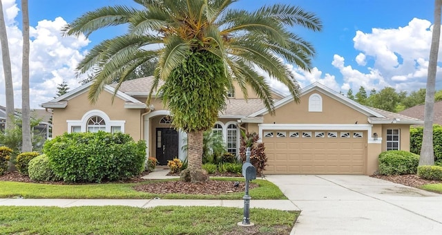8729 Torchwood Dr, Trinity, FL 34655 - photo 1