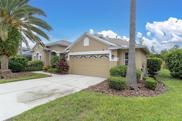 8729 Torchwood Dr, Trinity, FL 34655 - photo 38
