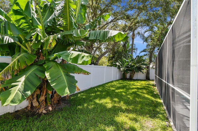 1120 Bluffs Cir, Dunedin, FL 34698 - fenced backyard with a lanai
