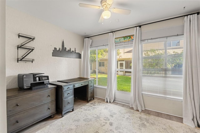 6519 Thicket Trl, New Port Richey, FL 34653 - office space with light wood-style floors and ceiling fan
