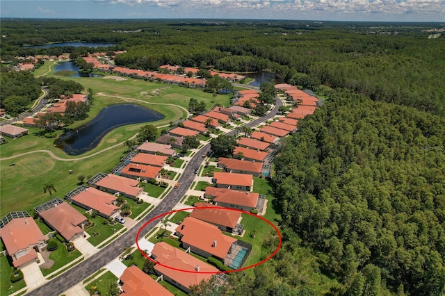 1115 Dartford Dr, Tarpon Springs, FL 34688 - photo 48