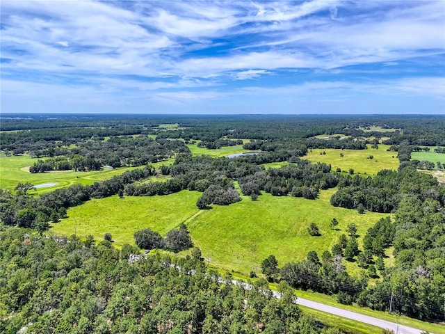 20089 Ayers Rd, Brooksville, FL 34604 - photo 1