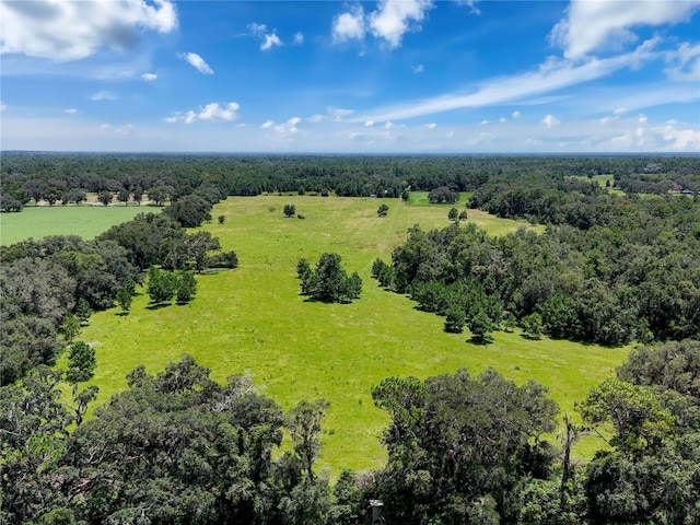 20089 Ayers Rd, Brooksville, FL 34604 - photo 10