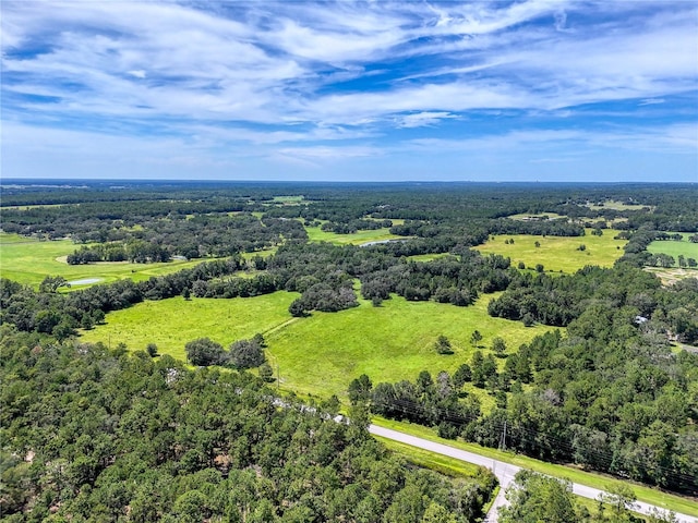 20089 Ayers Rd, Brooksville, FL 34604 - photo 18