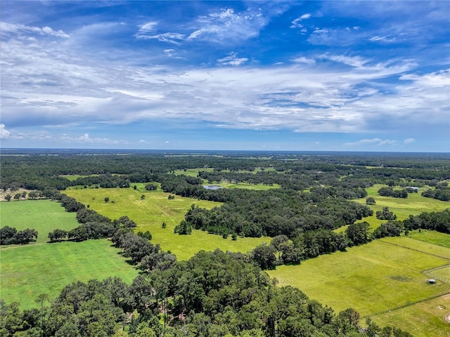 20089 Ayers Rd, Brooksville, FL 34604 - photo 20