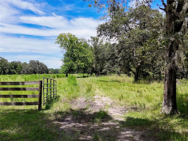 20089 Ayers Rd, Brooksville, FL 34604 - photo 27