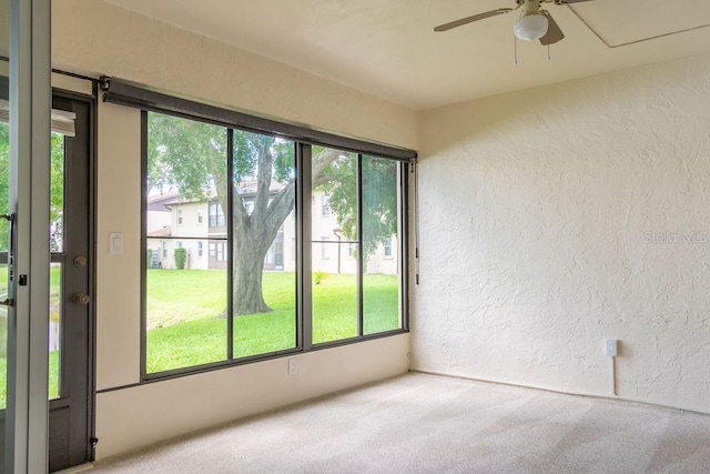 1016 Bowsprit Ln, Holiday, FL 34691 - photo 15