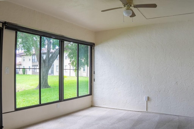 1016 Bowsprit Ln, Holiday, FL 34691 - photo 14