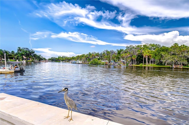 5523 Carlton Rd, New Port Richey, FL 34652 - dock area with a water view