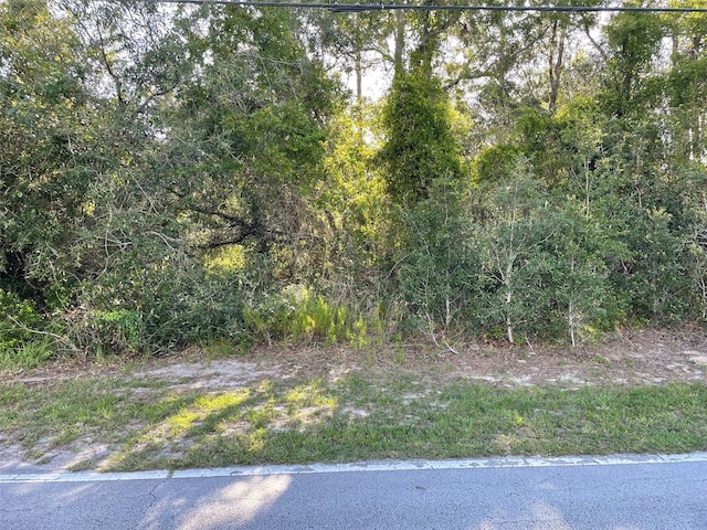 8217 Nightingale Rd, Weeki Wachee, FL 34613