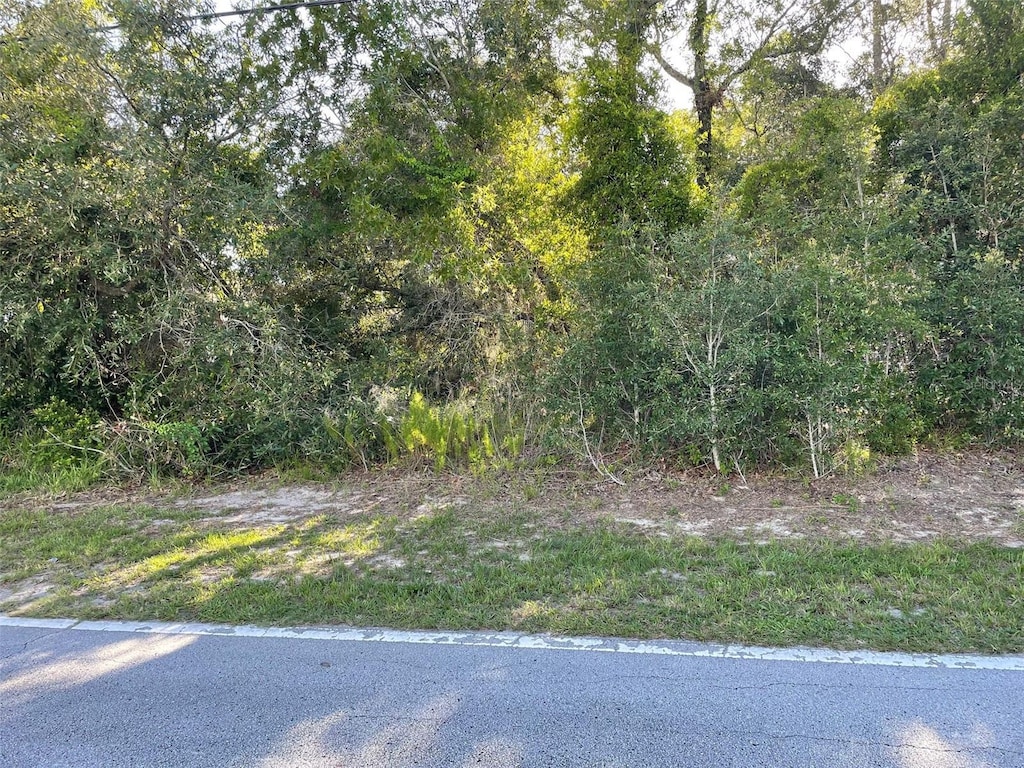 8217 Nightingale Rd, Weeki Wachee, FL 34613