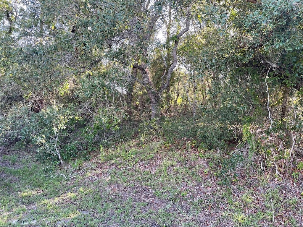8217 Nightingale Rd, Weeki Wachee, FL 34613
