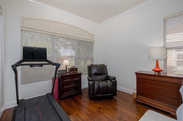 10508 Pontofino Cir, Trinity, FL 34655 - living area featuring ornamental molding and wood finished floors