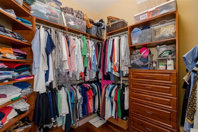 10508 Pontofino Cir, Trinity, FL 34655 - spacious closet featuring wood finished floors