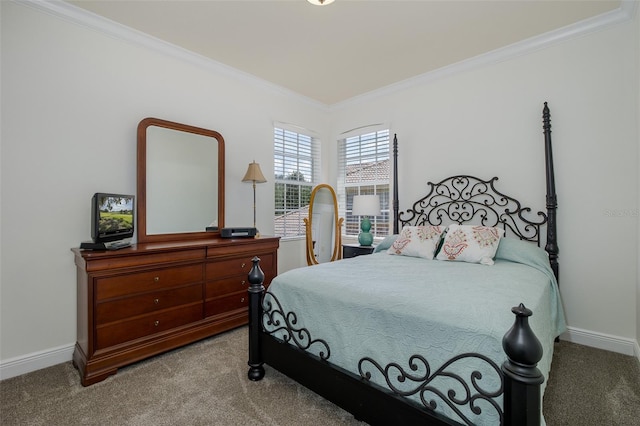 10508 Pontofino Cir, Trinity, FL 34655 - carpeted bedroom with crown molding and baseboards