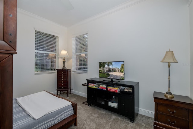 10508 Pontofino Cir, Trinity, FL 34655 - carpeted bedroom with ornamental molding and baseboards