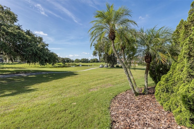 10508 Pontofino Cir, Trinity, FL 34655 - view of property's community with a yard