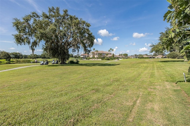 10508 Pontofino Cir, Trinity, FL 34655 - view of grassy yard