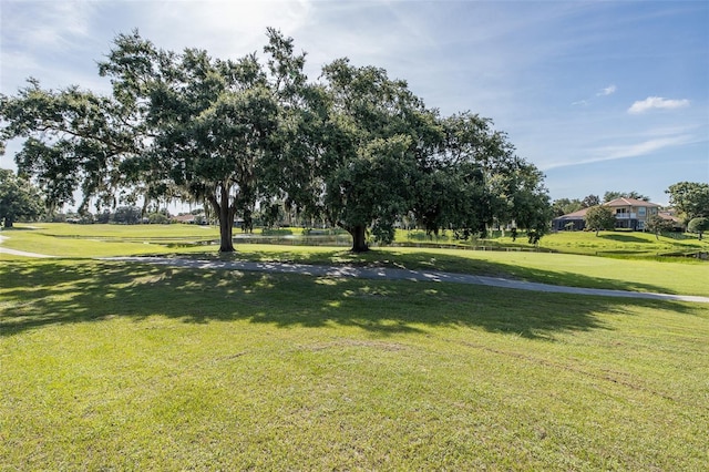 10508 Pontofino Cir, Trinity, FL 34655 - surrounding community with a lawn