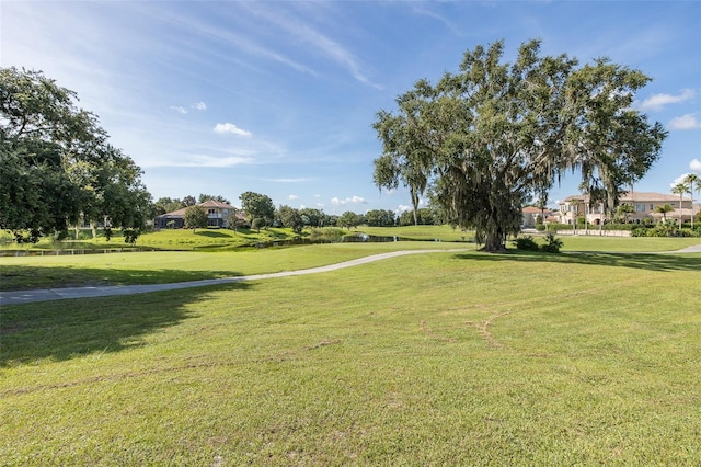 10508 Pontofino Cir, Trinity, FL 34655 - surrounding community featuring a yard and a water view