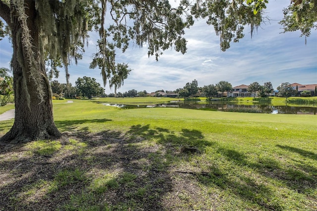 10508 Pontofino Cir, Trinity, FL 34655 - view of green lawn featuring a water view