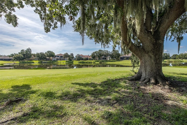 10508 Pontofino Cir, Trinity, FL 34655 - view of grassy yard with a water view and a residential view
