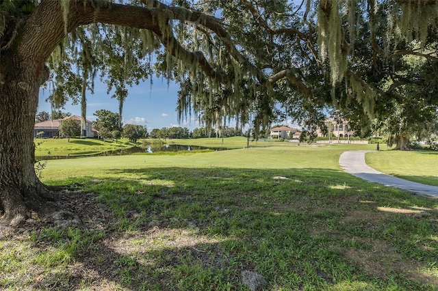 10508 Pontofino Cir, Trinity, FL 34655 - view of property's community with a lawn and a water view