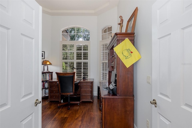 10508 Pontofino Cir, Trinity, FL 34655 - office area featuring dark wood-style floors