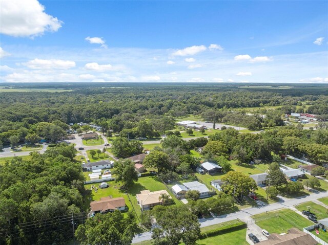 18922 Dvorak Dr, Spring Hill, FL 34610 - photo 36
