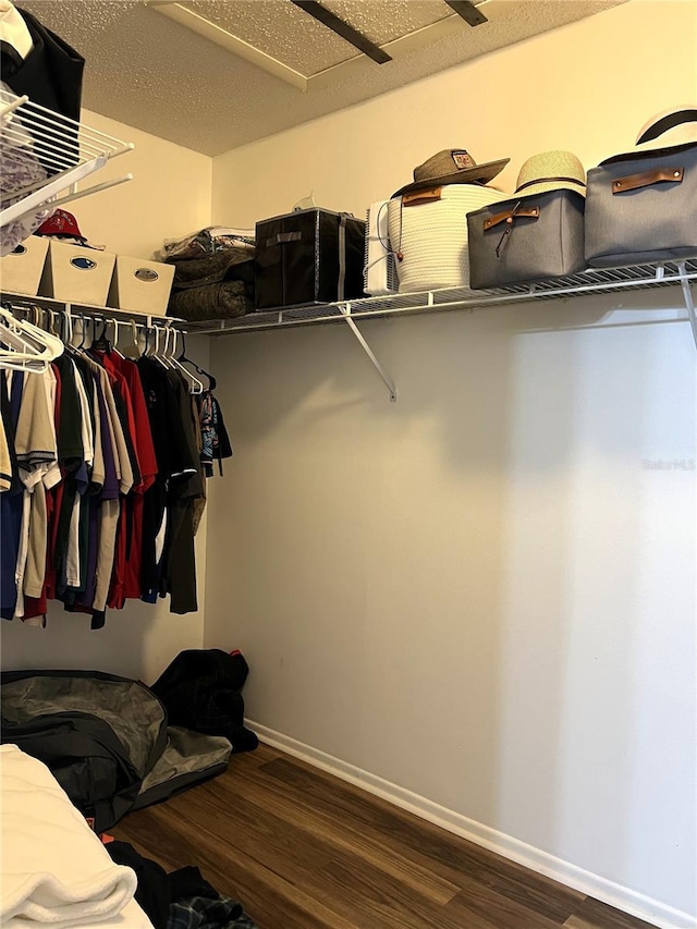 7721 Hillside Ct Unit 203, Hudson, FL 34667 - walk in closet with wood finished floors