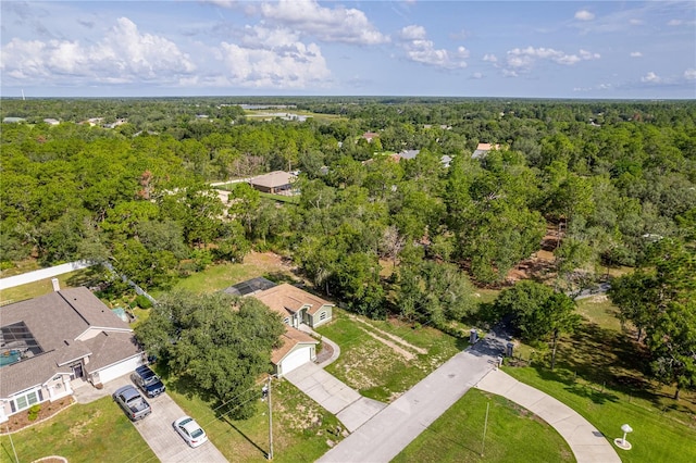 9141 Mavis Rd, Spring Hill, FL 34613 - photo 16