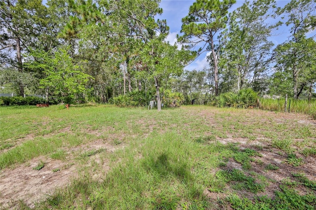 9141 Mavis Rd, Spring Hill, FL 34613 - photo 56
