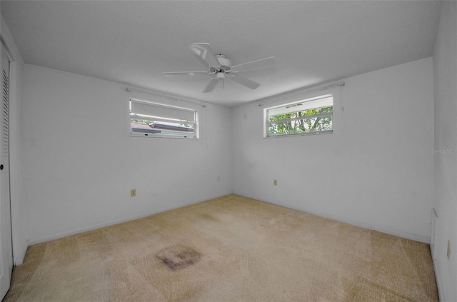 7812 Cherrytree Ln, New Port Richey, FL 34653 - photo 14
