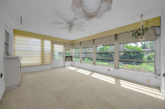 7812 Cherrytree Ln, New Port Richey, FL 34653 - photo 16