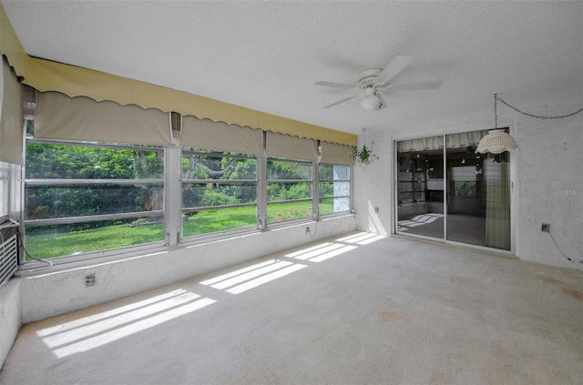 7812 Cherrytree Ln, New Port Richey, FL 34653 - photo 17