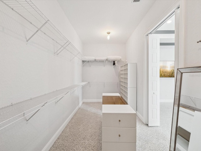 5621 Egrets Pl, New Port Richey, FL 34652 - spacious closet with light carpet