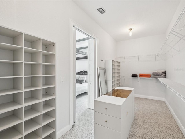 5621 Egrets Pl, New Port Richey, FL 34652 - walk in closet with light carpet