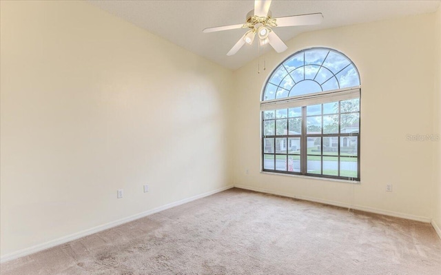 11409 Deercroft Ct, Spring Hill, FL 34609 - photo 13